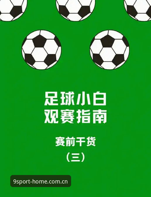 世界杯观赛受阻？九体育平台带你深入了解赛事背后的签证困境与观赛指南